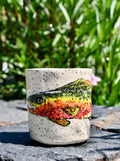 Large Trout Cup